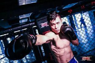 蔡良蝉视频,揭秘成功背后的故事与智慧