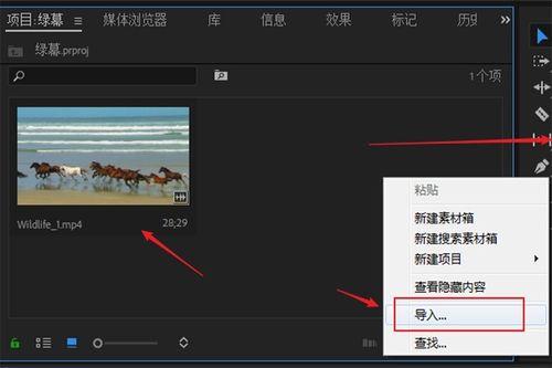 图片和视频,图片与视频融合的创意概述