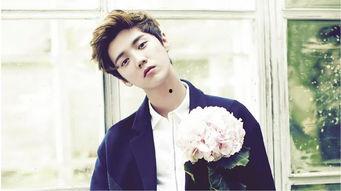 鹿晗人气视频,燃情时刻，魅力四射