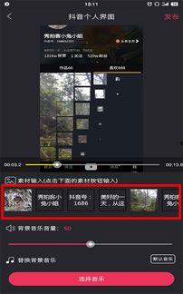 怎样将图片做成视频,轻松实现图片动画化教程