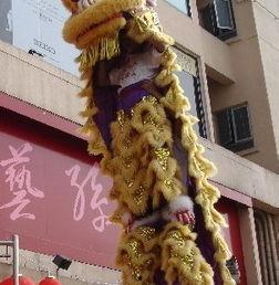 沧州舞狮子表演视频